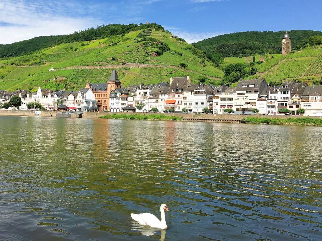 Blick auf Zell (Mosel) und Collisturm - Moselurlaub in Ferienhaus Moselpromenade in Balduinstraße 53, 56856 Zell (Mosel)